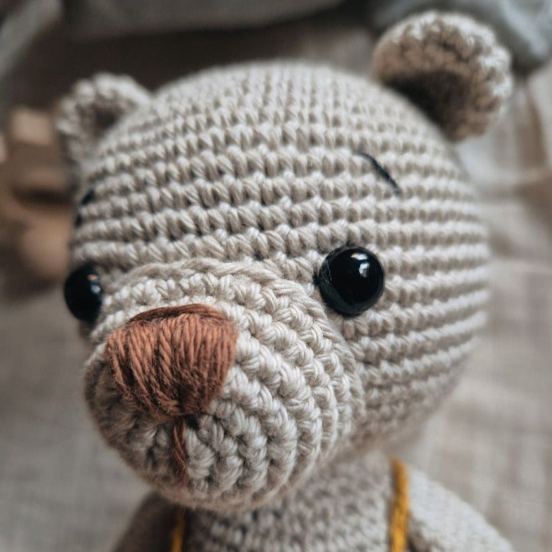 Milo: el oso soñador
