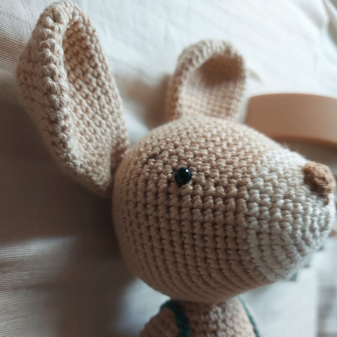 Otto: el conejo valiente