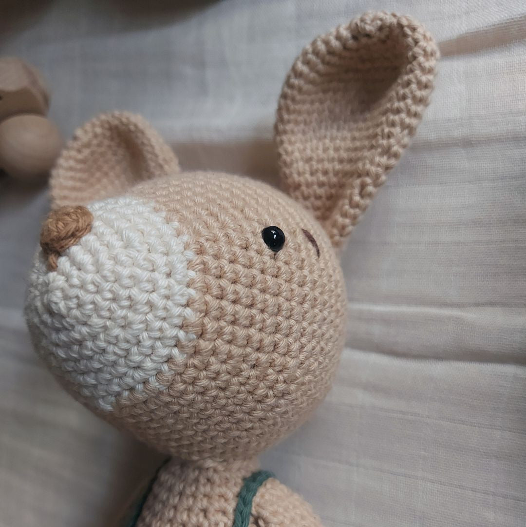 Otto: el conejo valiente