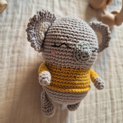 Kao, el koala lleno de calma