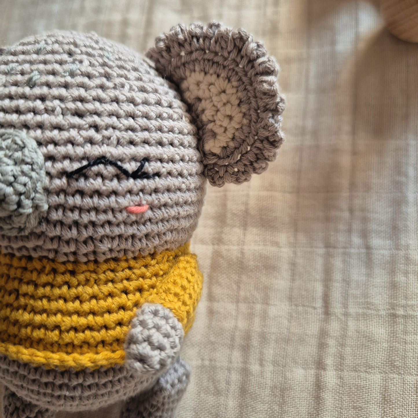 Kao, el koala lleno de calma