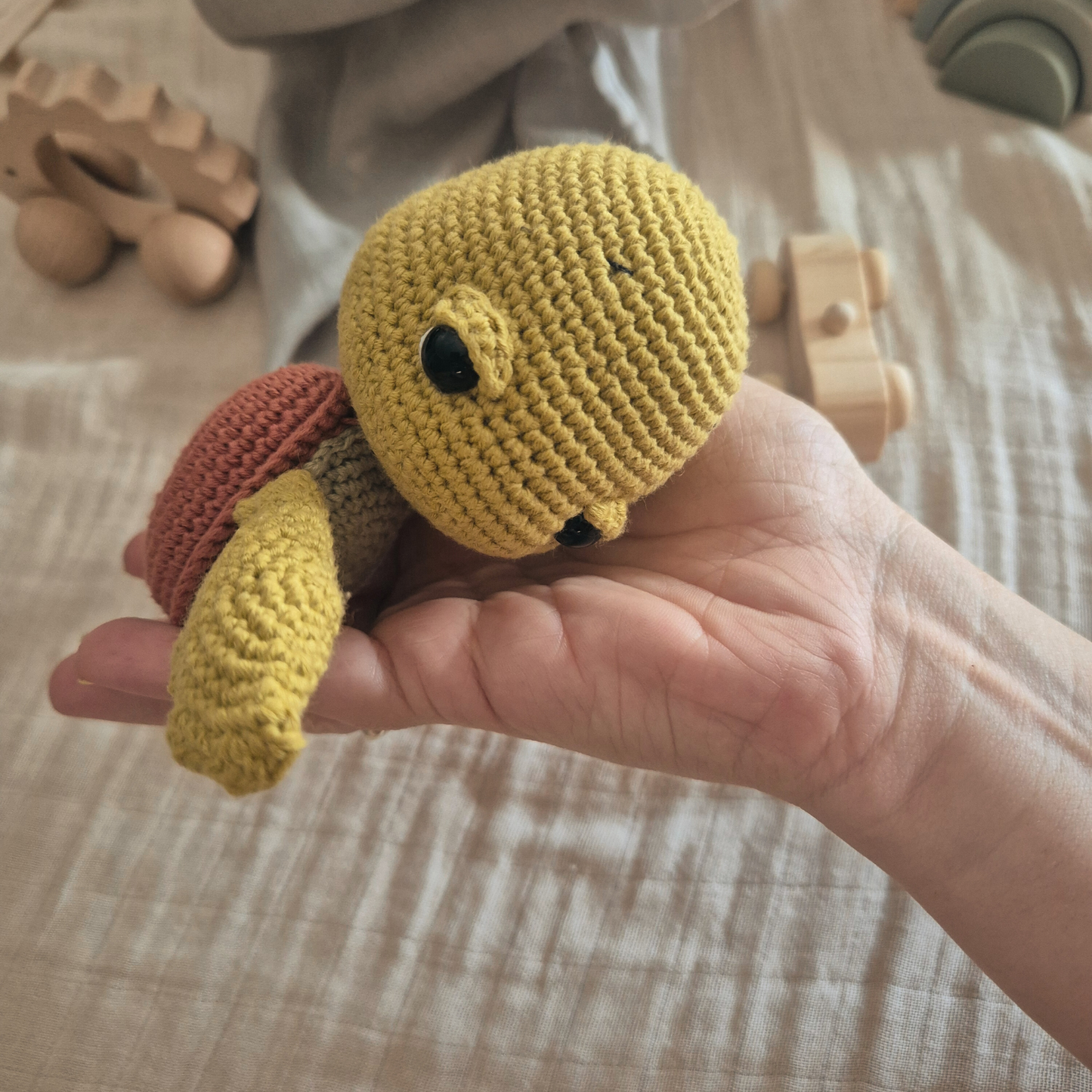 Toki: la tortuga que vive sin prisas