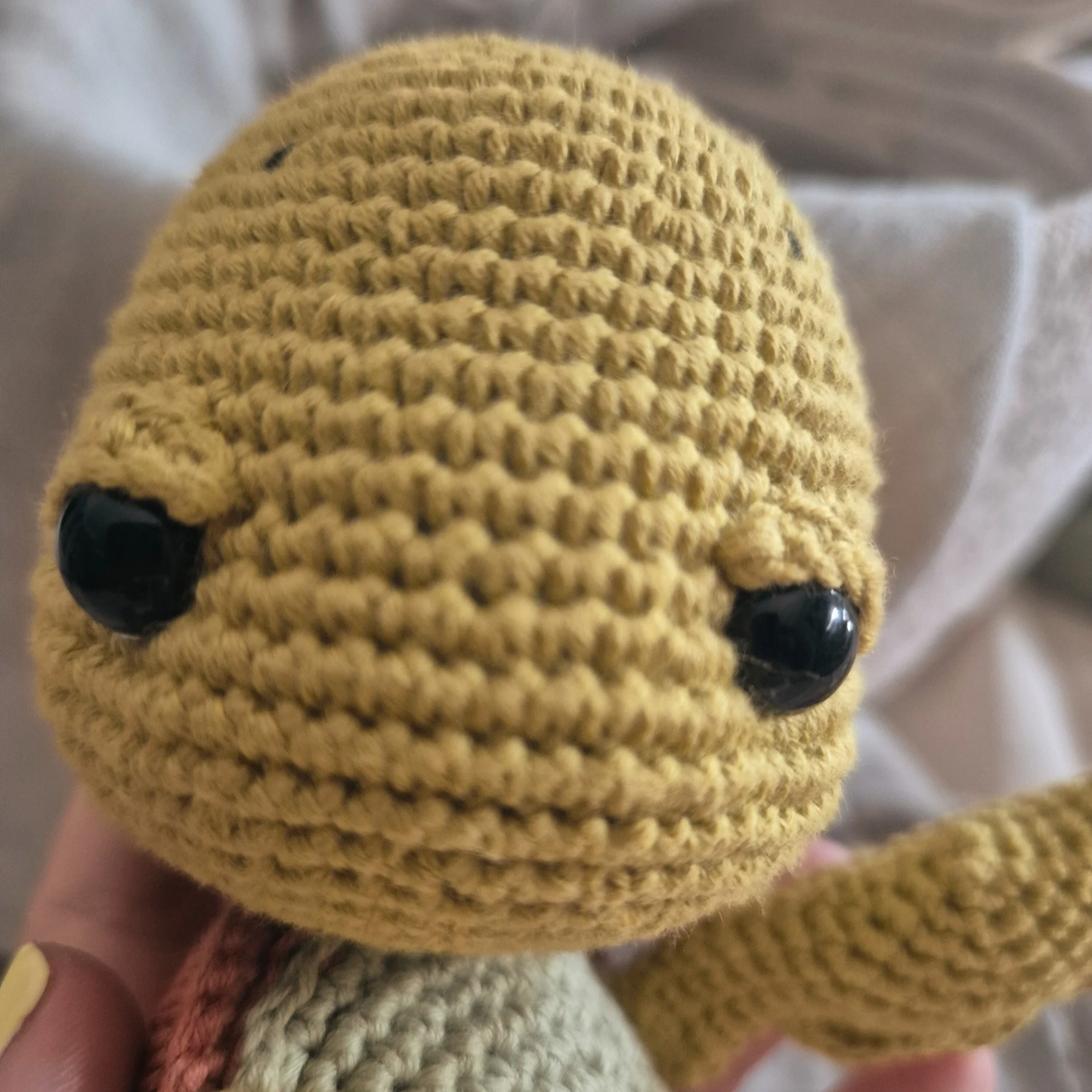 Toki: la tortuga que vive sin prisas